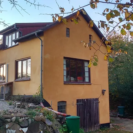 Helved Skovmolle